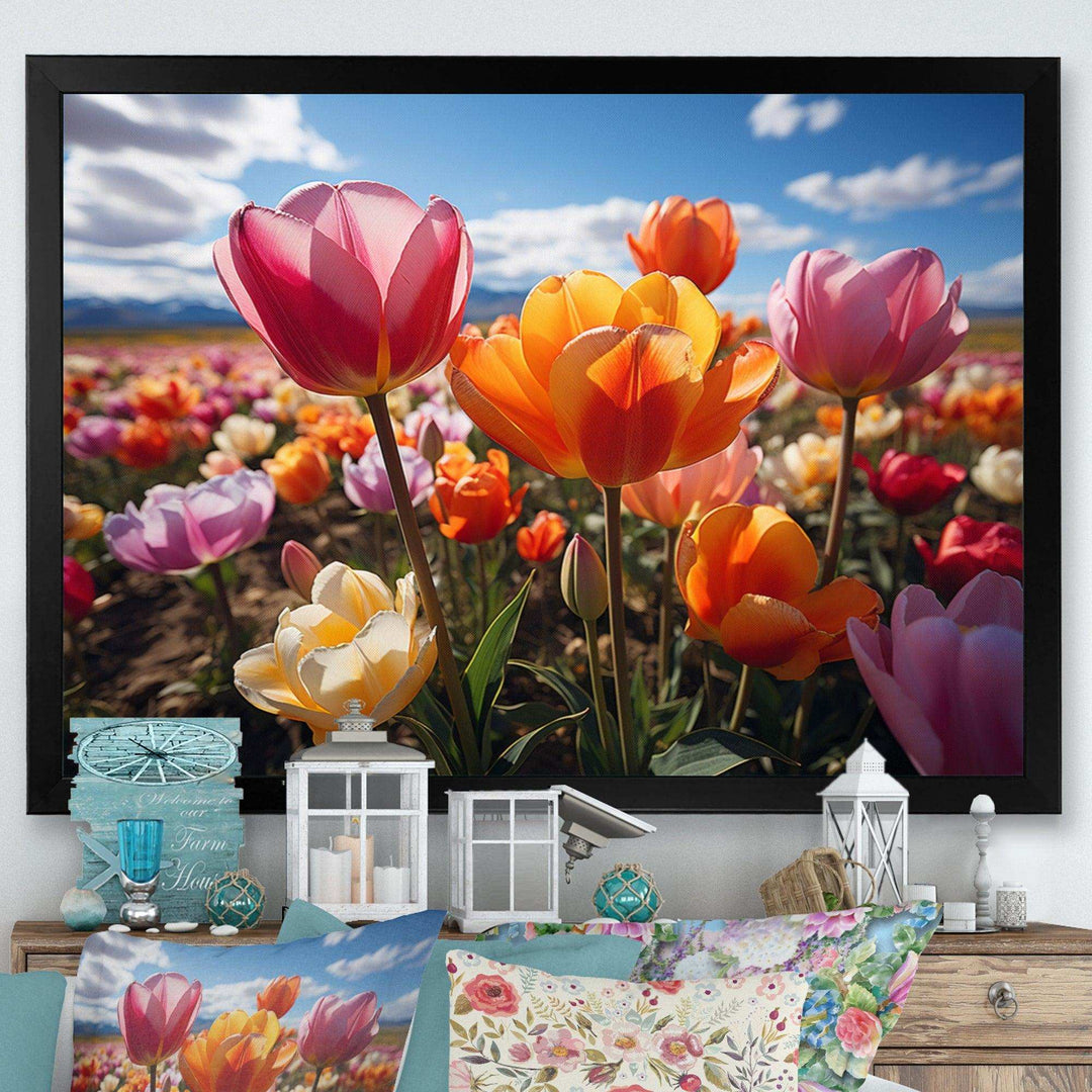 Tulips Fields Of Color IV