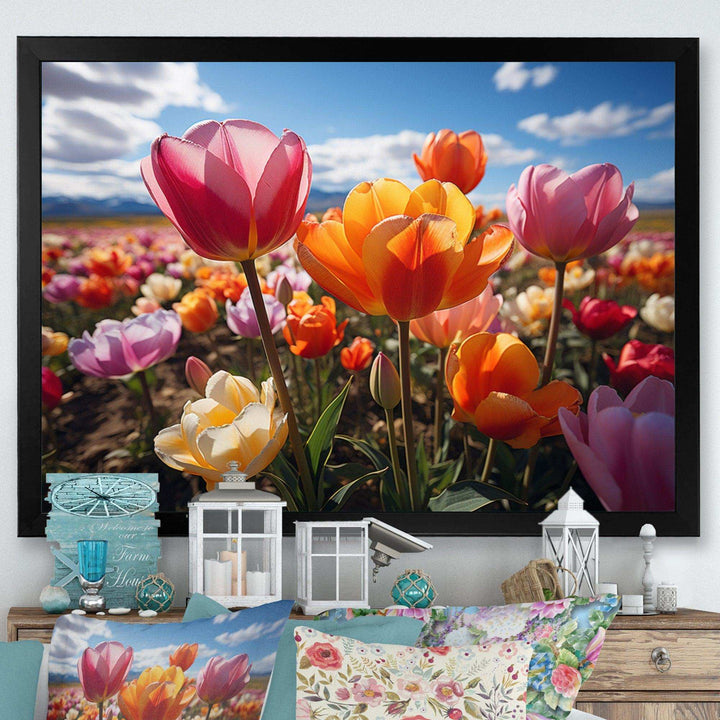 Tulips Fields Of Color IV