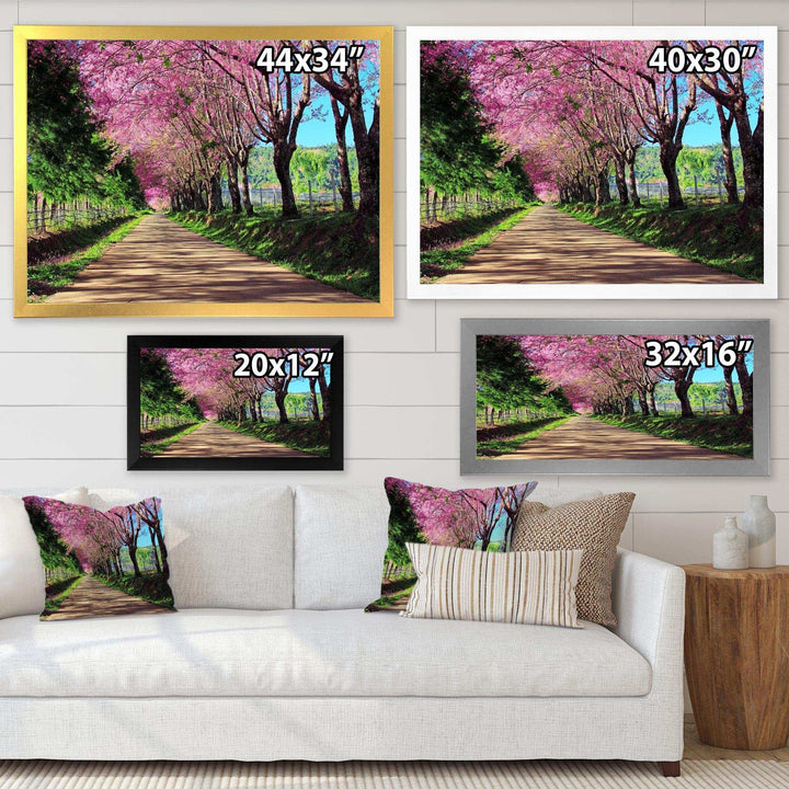 Cherry Blossom Pathway in Chiang Mai