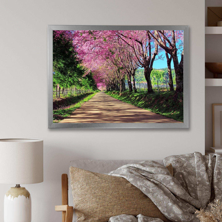 Cherry Blossom Pathway in Chiang Mai