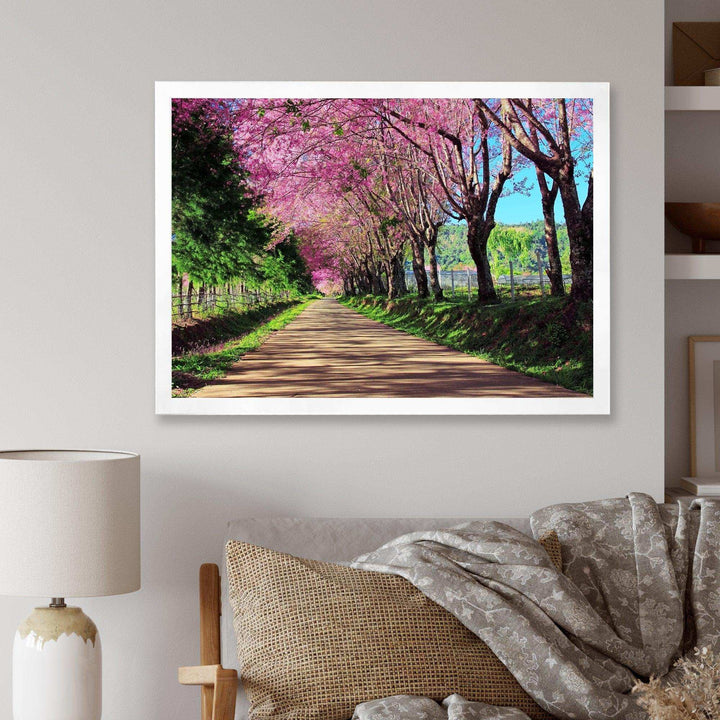 Cherry Blossom Pathway in Chiang Mai