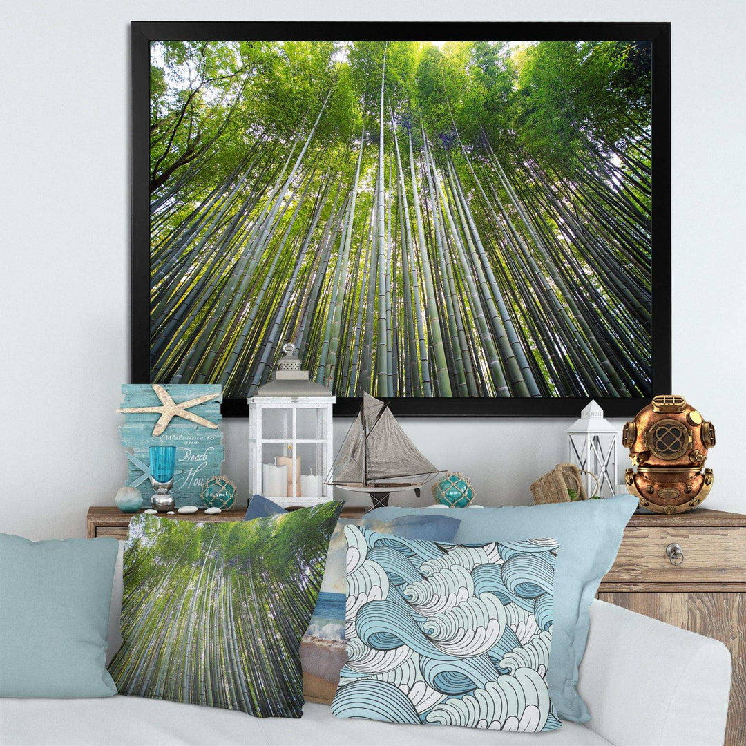 Bamboo forest of Kyoto Japan.