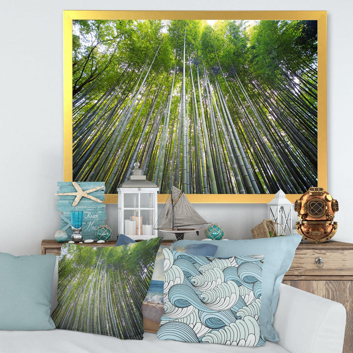 Bamboo forest of Kyoto Japan.