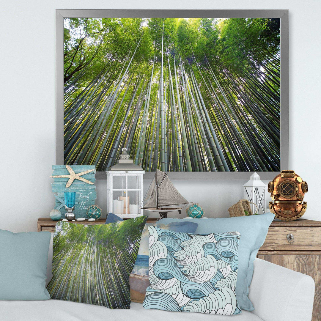 Bamboo forest of Kyoto Japan.