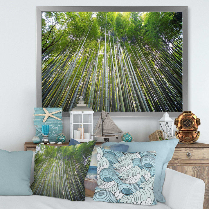 Bamboo forest of Kyoto Japan.