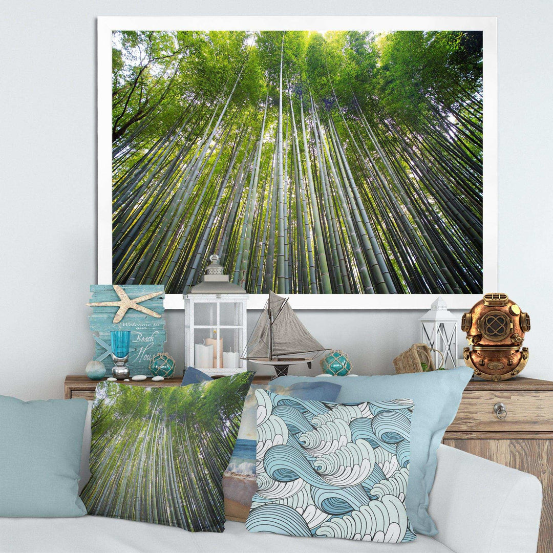 Bamboo forest of Kyoto Japan.