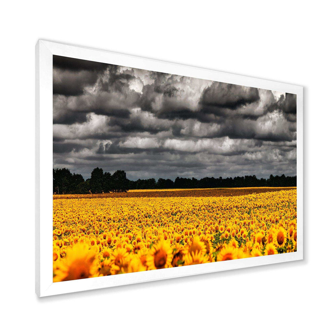 Van Gogh Summer with Clouds