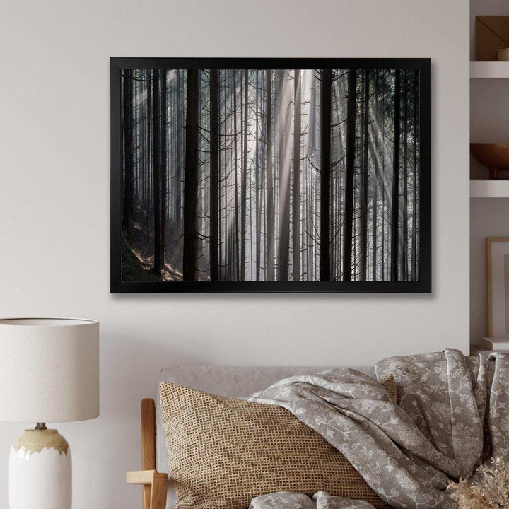 Sunbeams Peeking Through Dark Forest