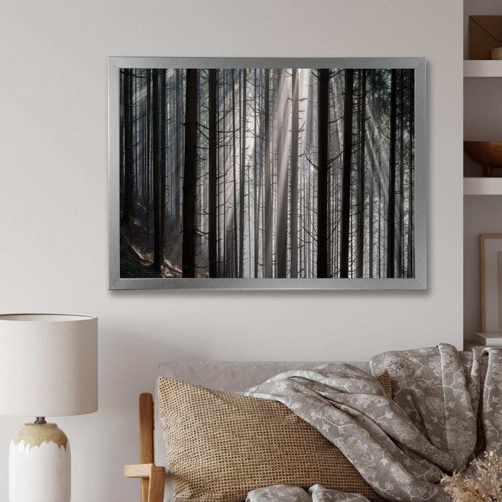 Sunbeams Peeking Through Dark Forest