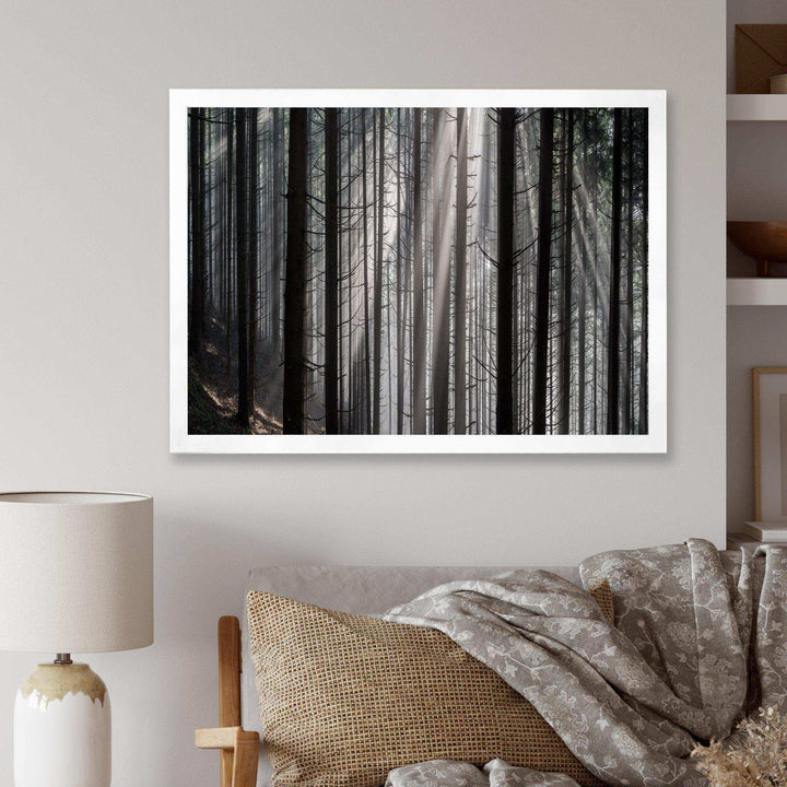 Sunbeams Peeking Through Dark Forest