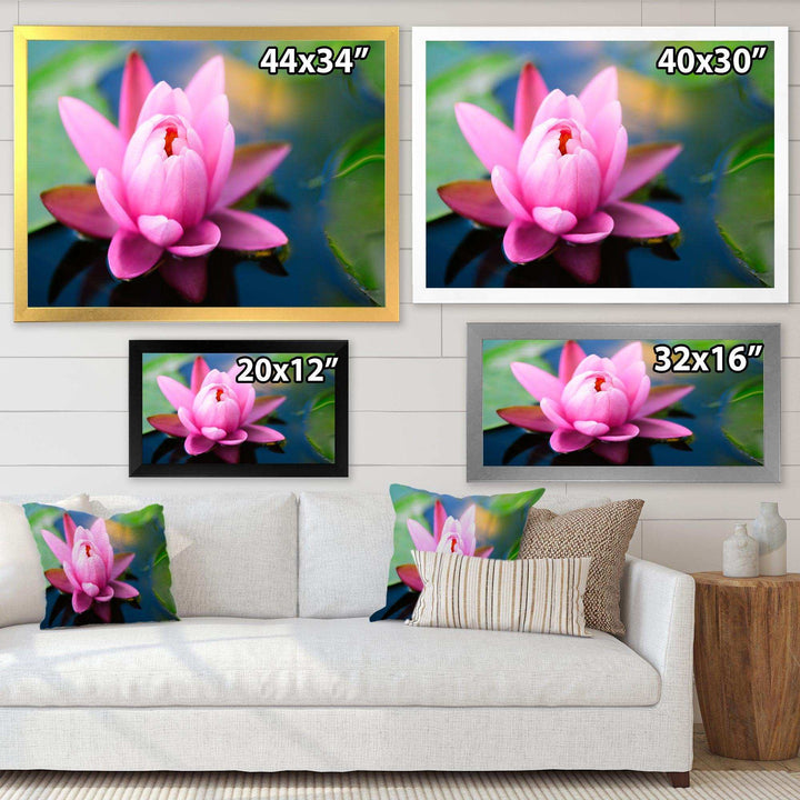 Large Lotus Flower in the Pond