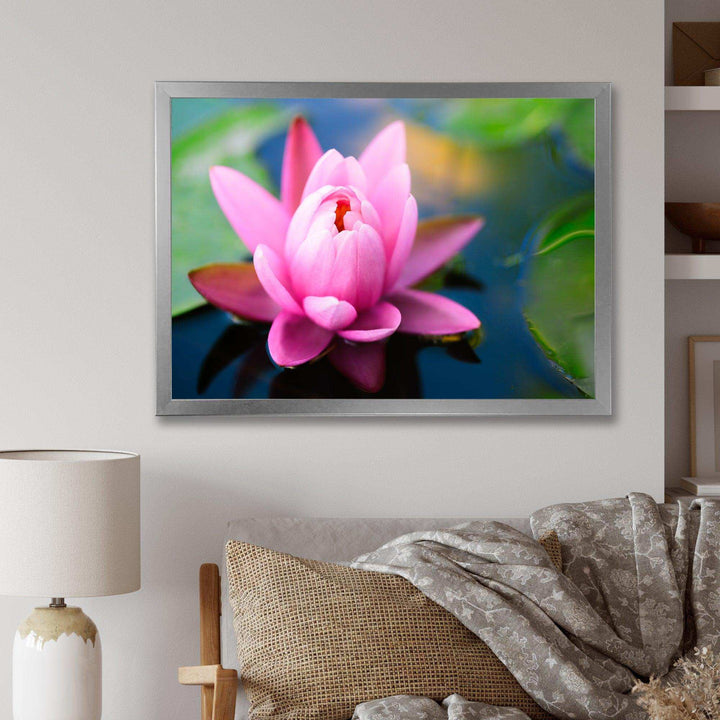 Large Lotus Flower in the Pond