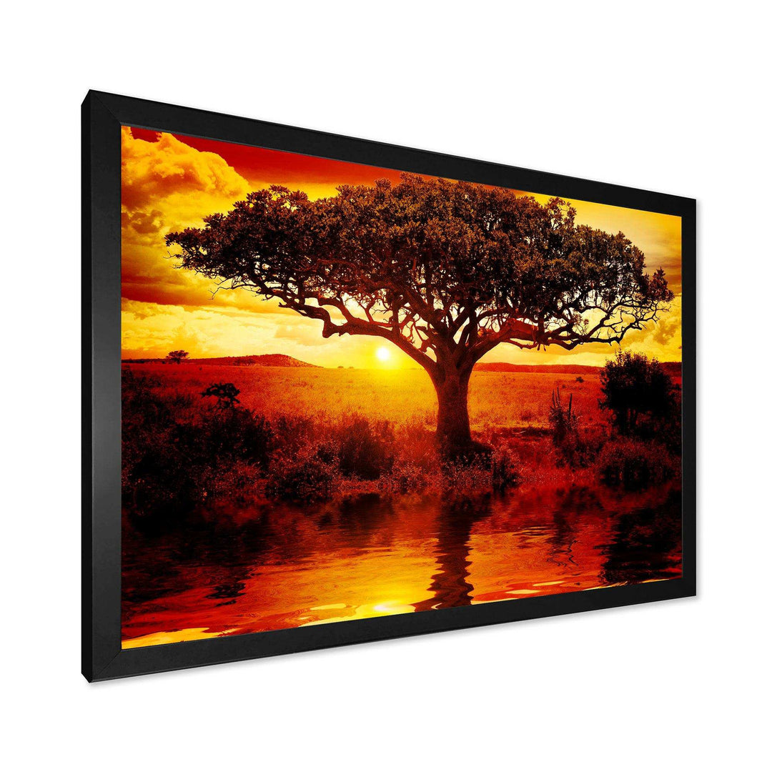 Lonely Tree in African Sunset