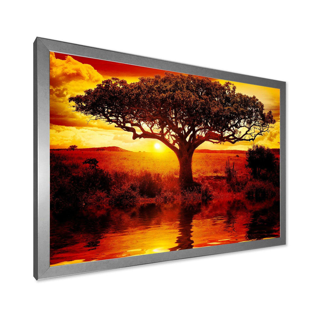 Lonely Tree in African Sunset