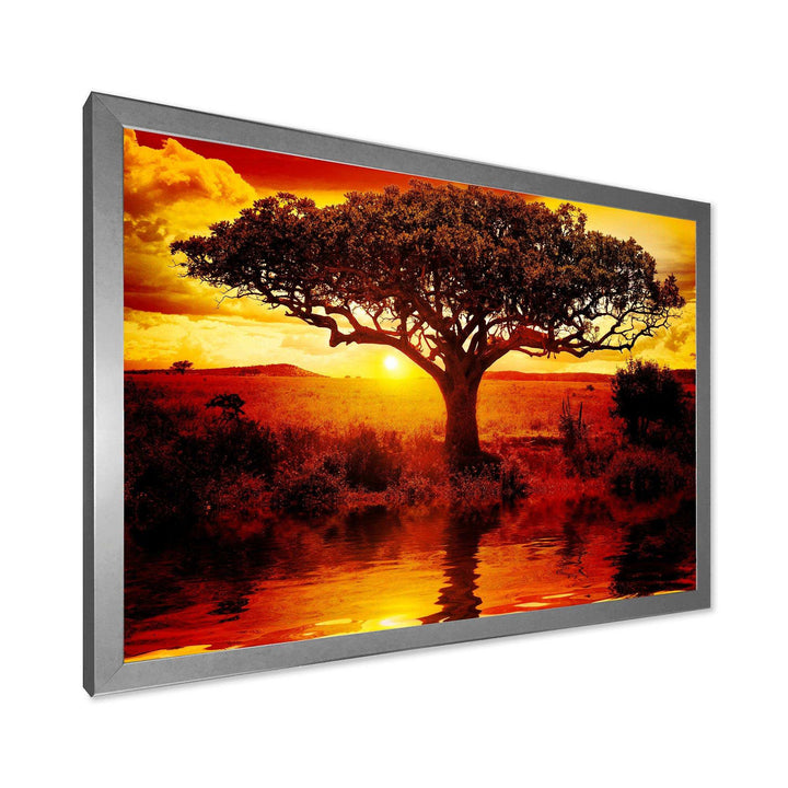 Lonely Tree in African Sunset