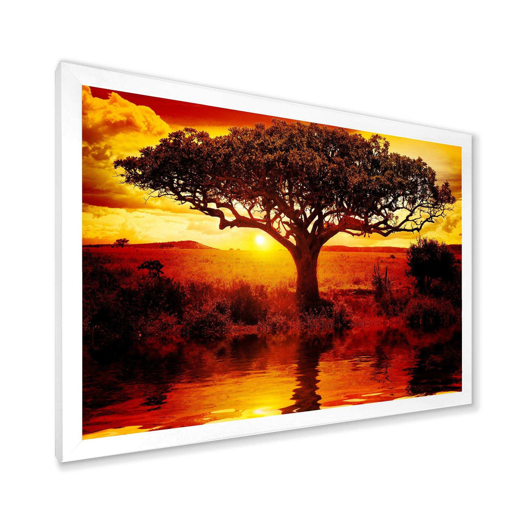 Lonely Tree in African Sunset