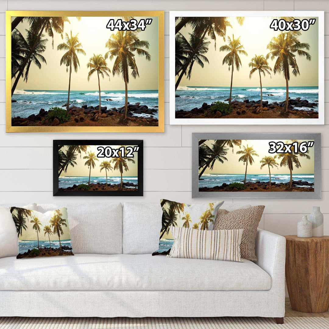Rocky Tropical Beach with Palms
