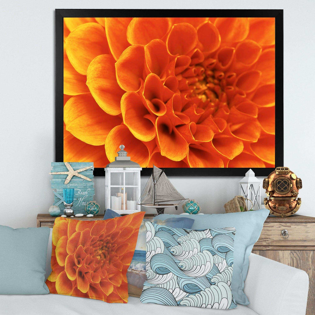 Large Orange Flower and Petals