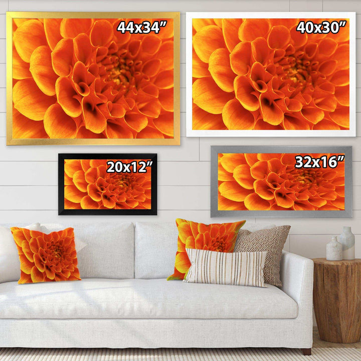 Large Orange Flower and Petals