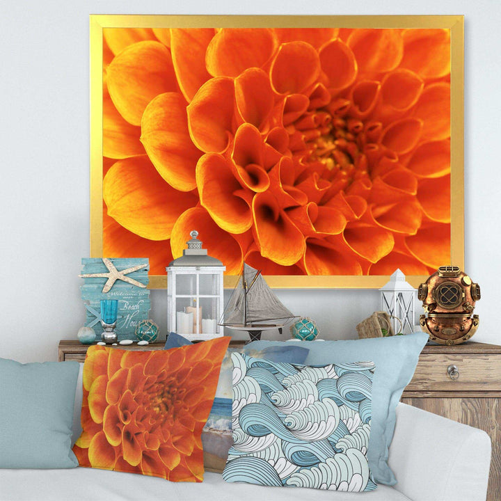 Large Orange Flower and Petals