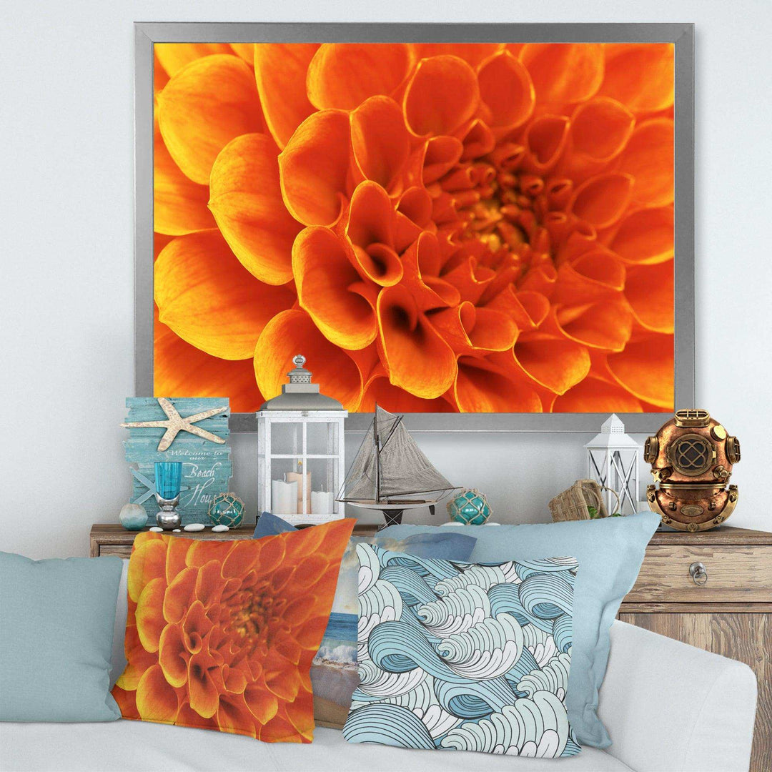 Large Orange Flower and Petals