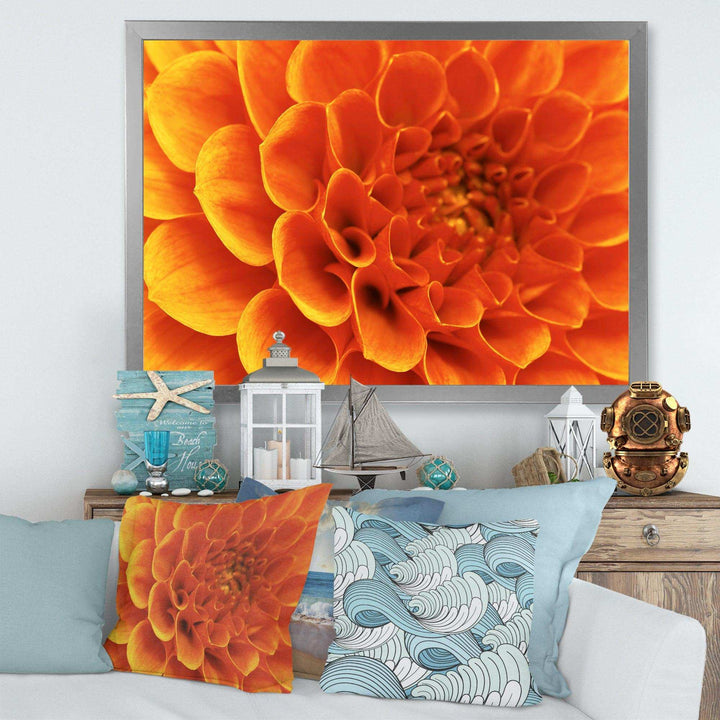 Large Orange Flower and Petals