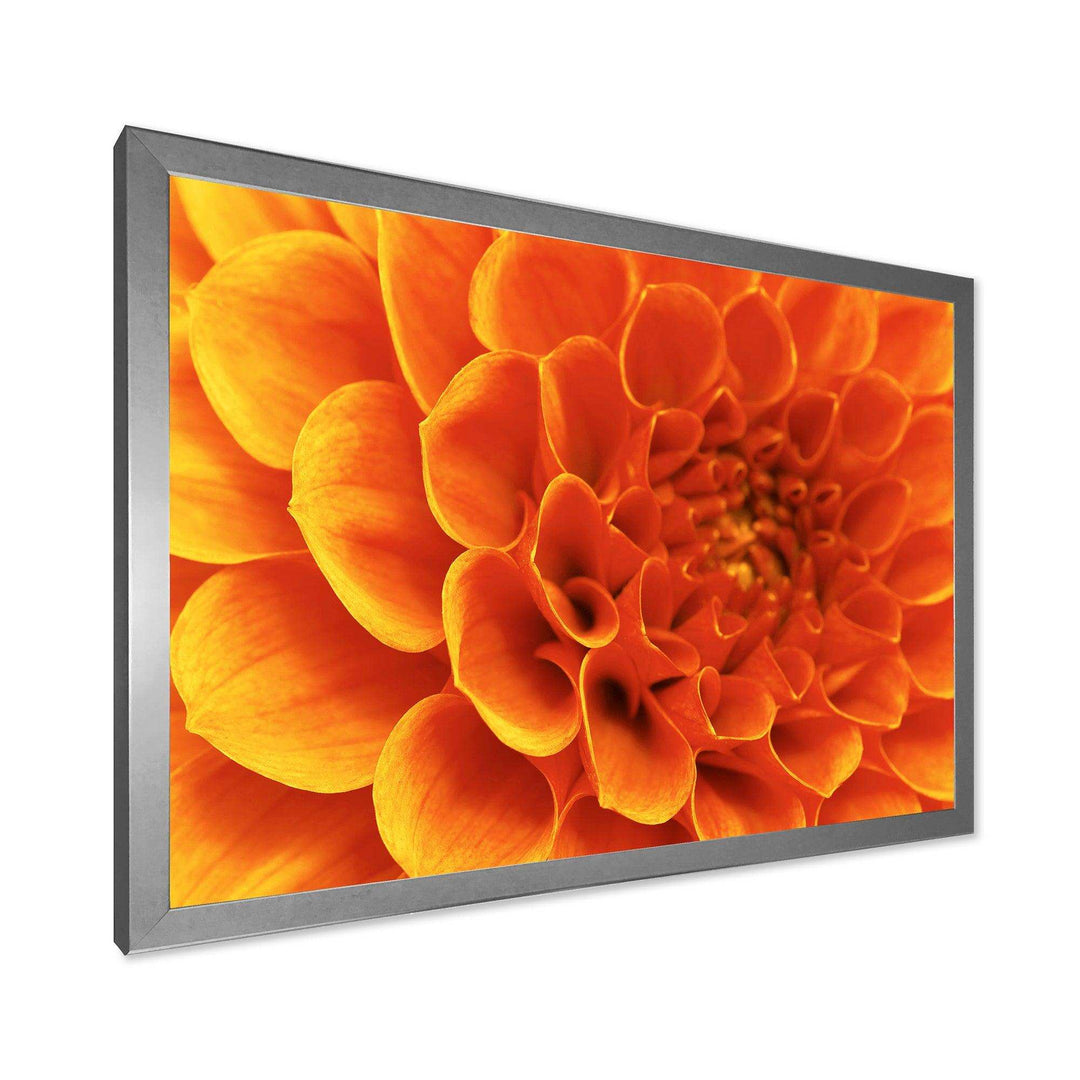 Large Orange Flower and Petals