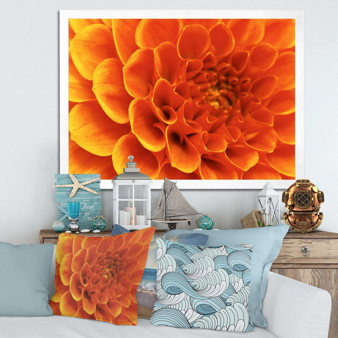 Large Orange Flower and Petals