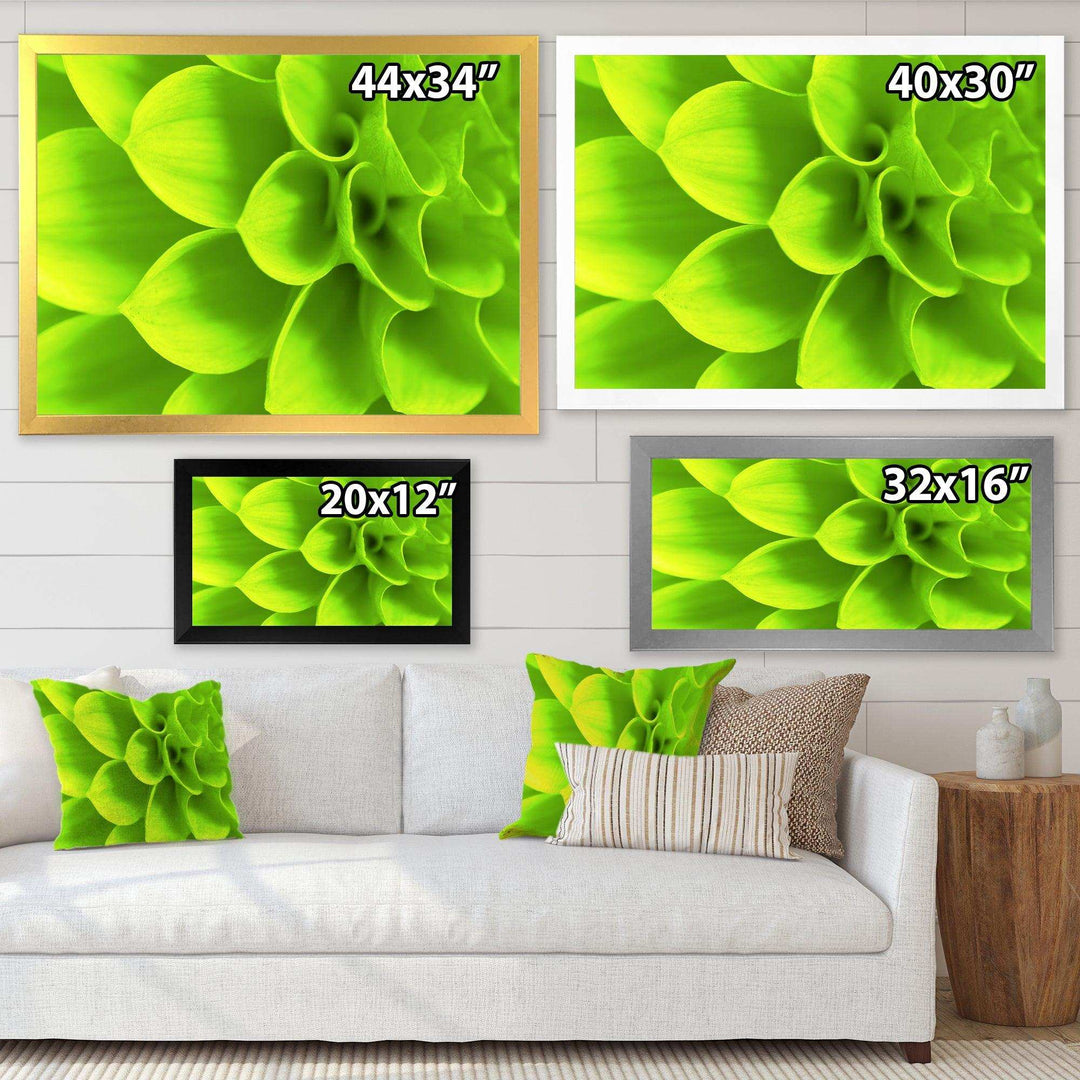 Bright Green Flower Petals