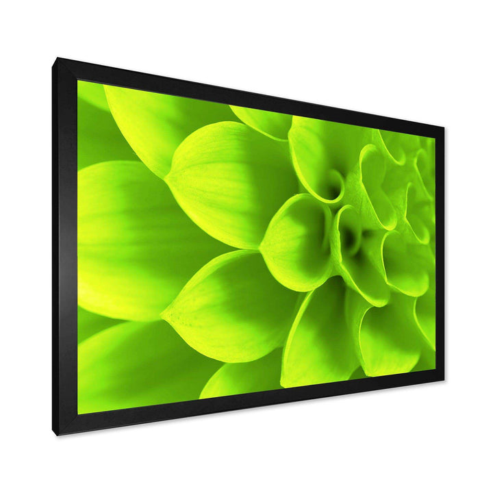Bright Green Flower Petals