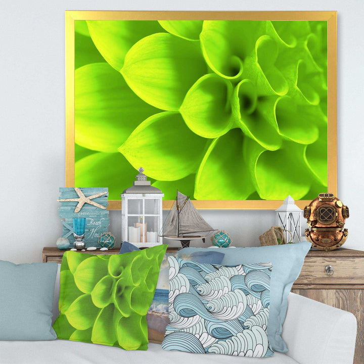 Bright Green Flower Petals