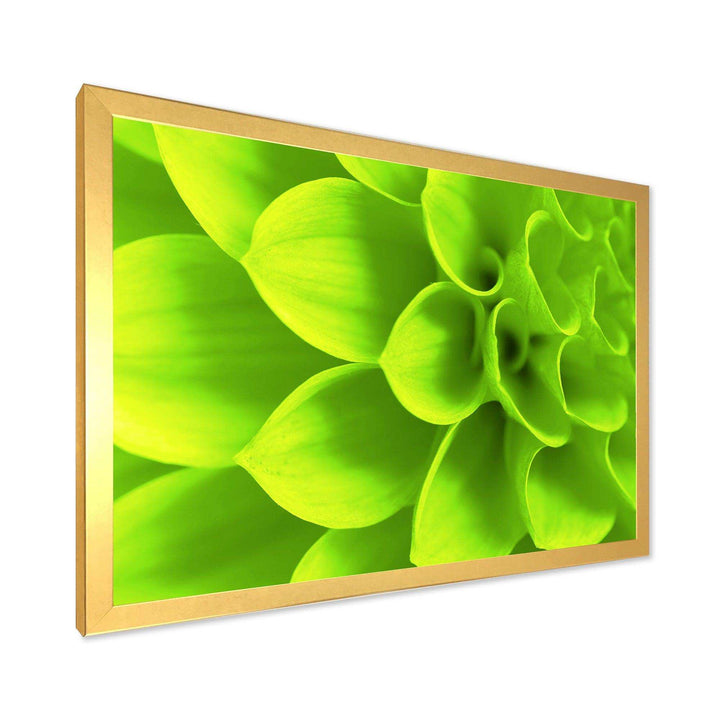 Bright Green Flower Petals