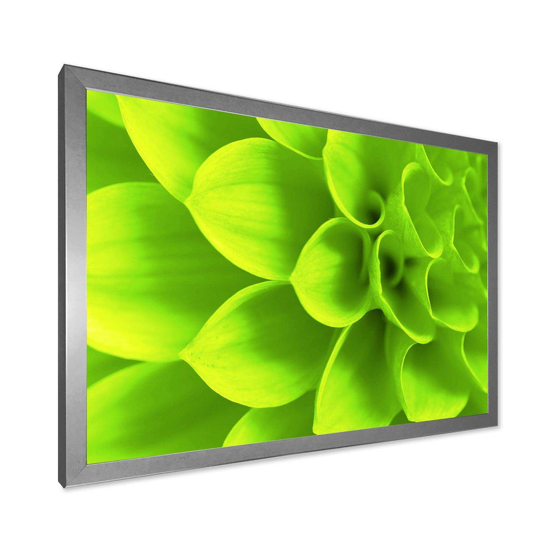Bright Green Flower Petals