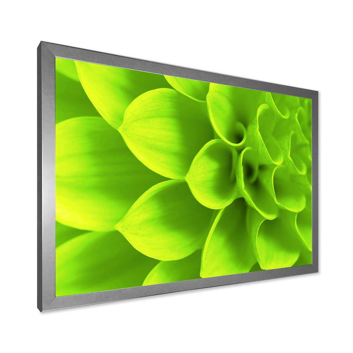 Bright Green Flower Petals