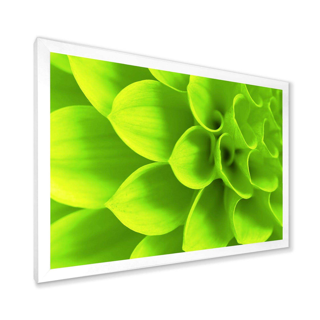 Bright Green Flower Petals