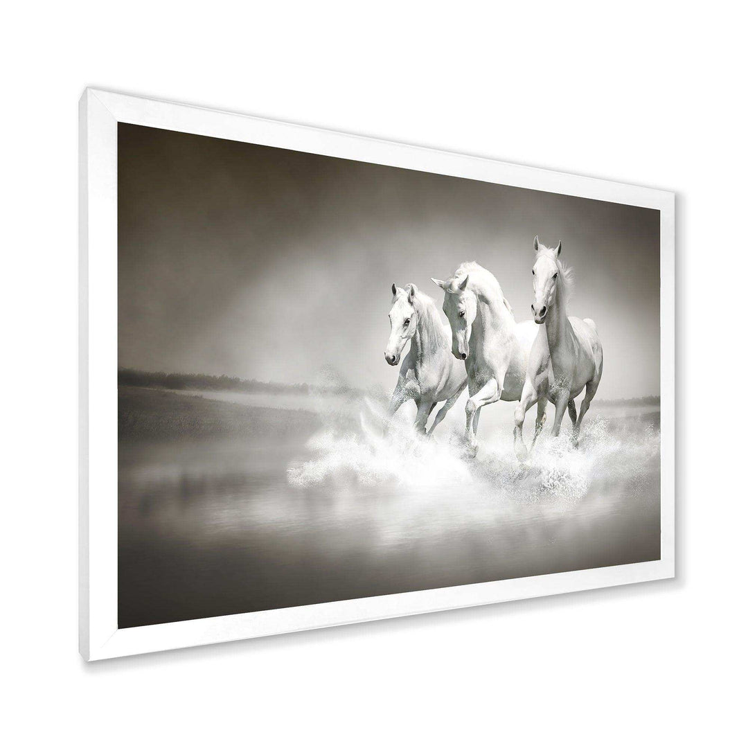 Horses Running Through Water