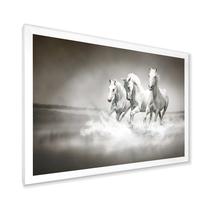 Horses Running Through Water
