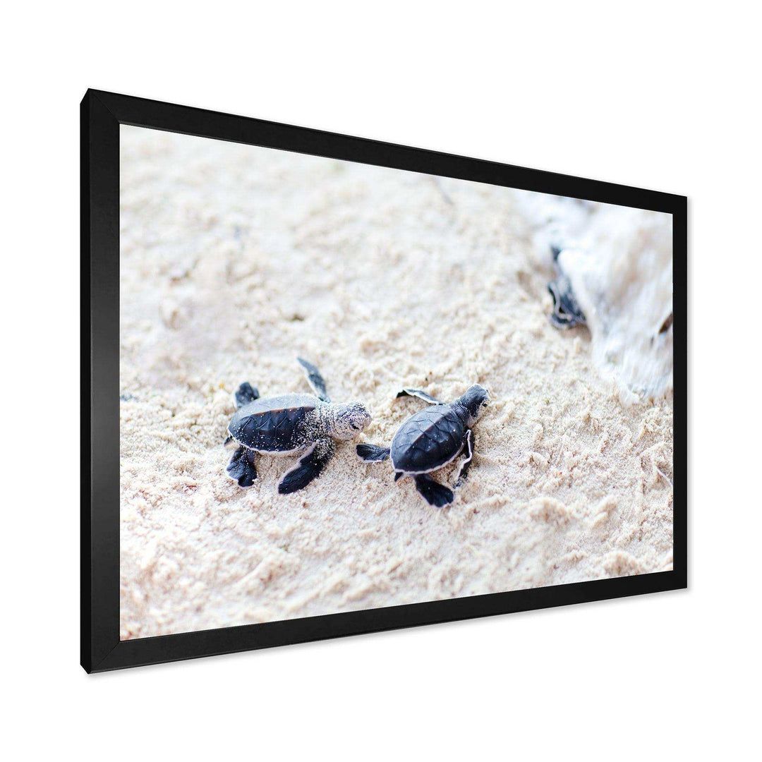 Baby Green Turtles on Sand - Animal Wall Art Print
