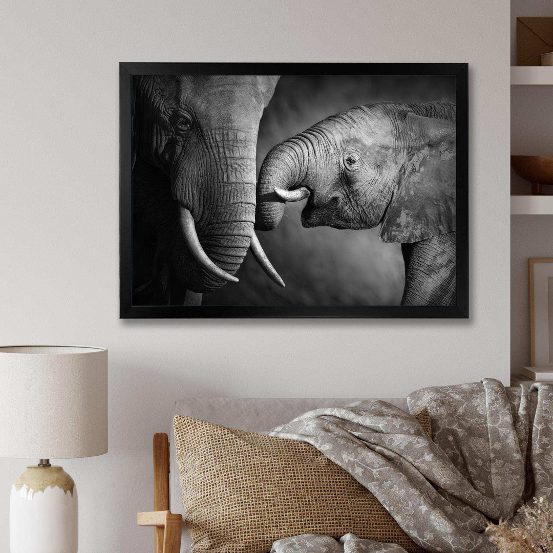 Elephants Showing Affection