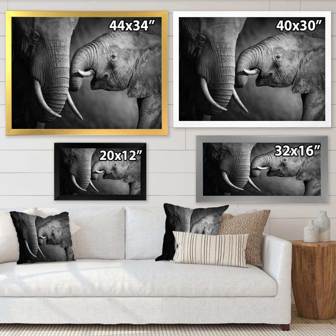 Elephants Showing Affection