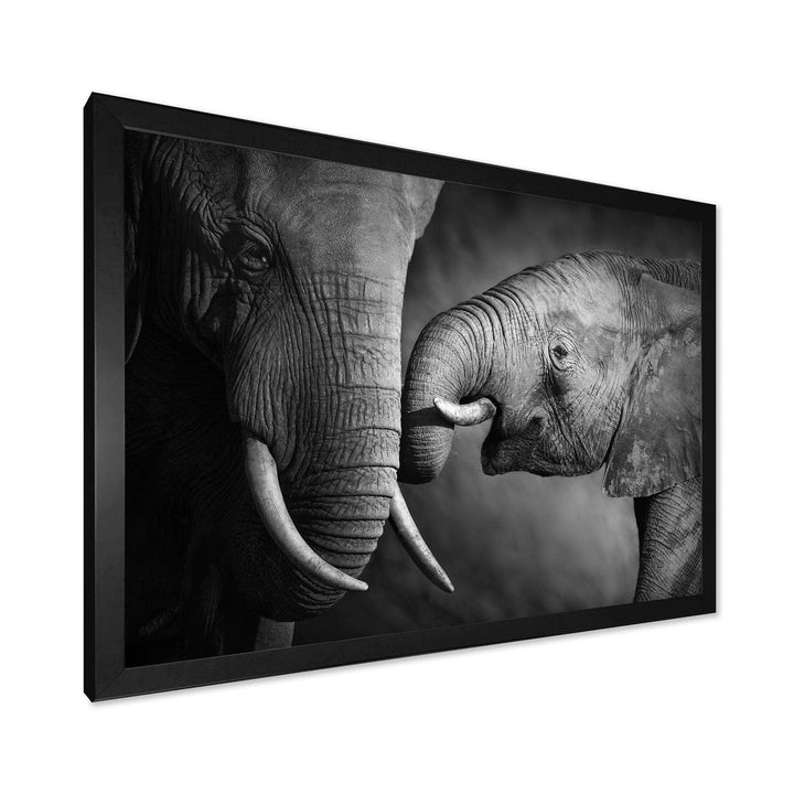 Elephants Showing Affection
