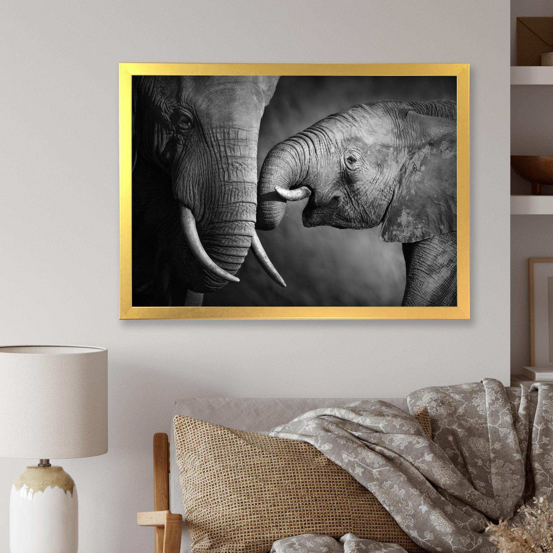 Elephants Showing Affection
