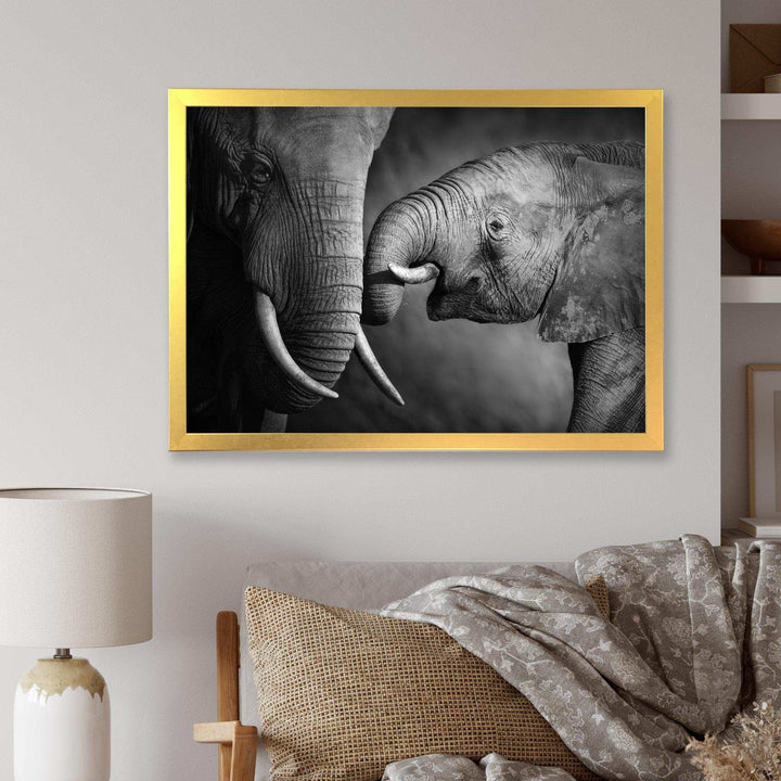 Elephants Showing Affection