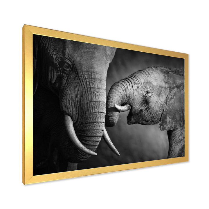Elephants Showing Affection