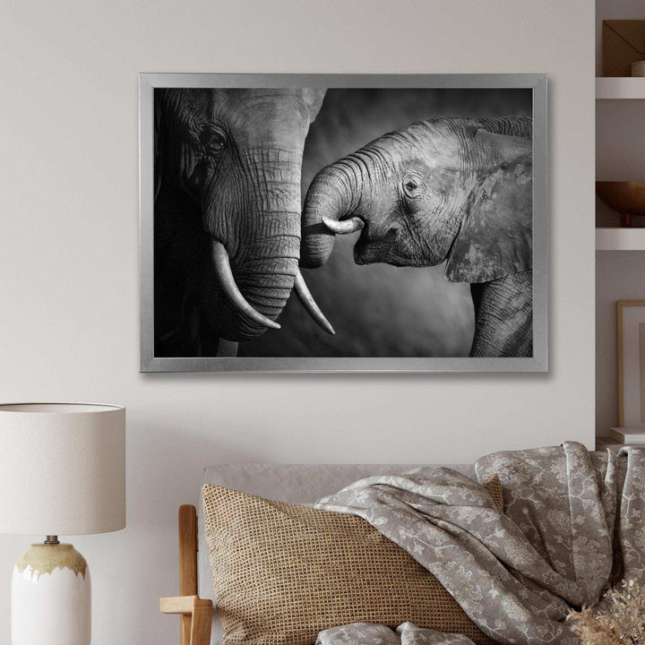 Elephants Showing Affection