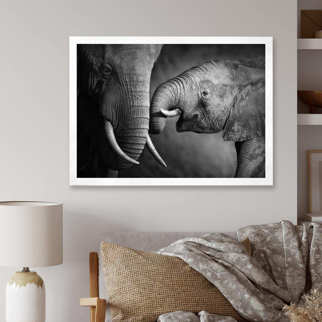 Elephants Showing Affection