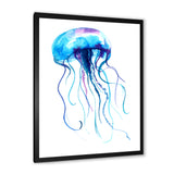 Large Light Blue Jellyfish