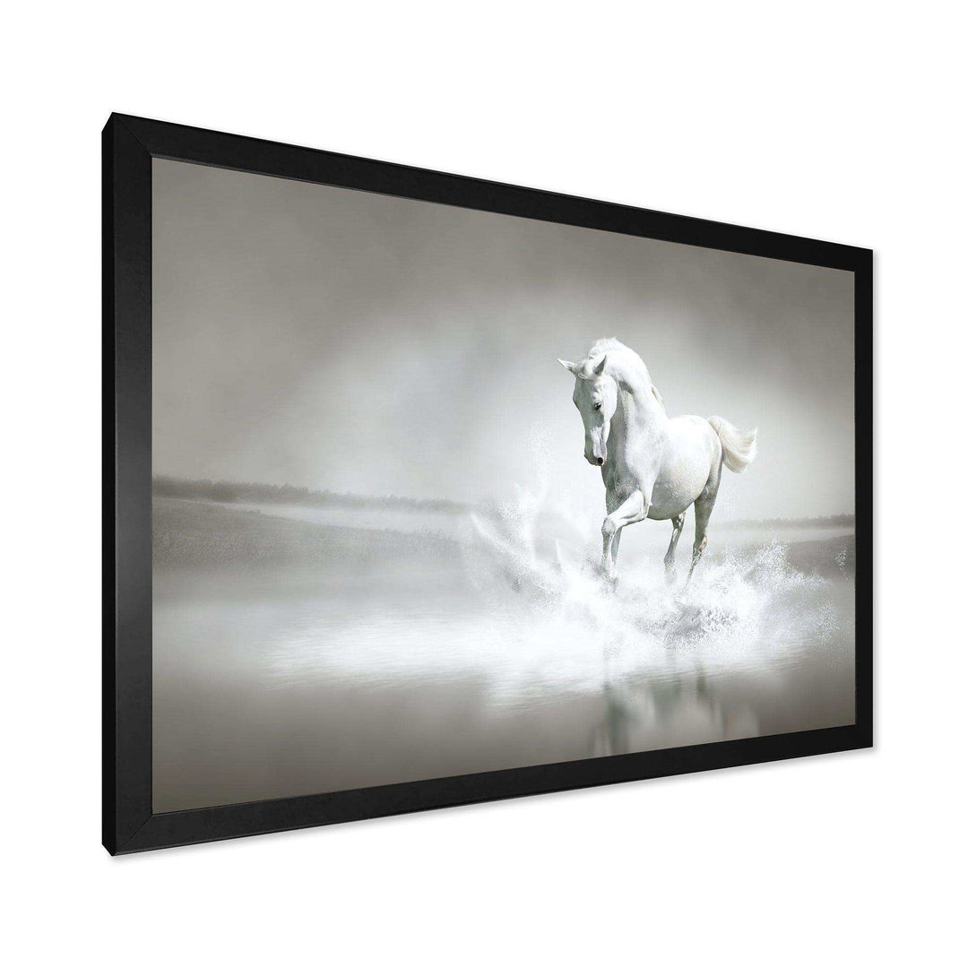 White Horse Running in Water