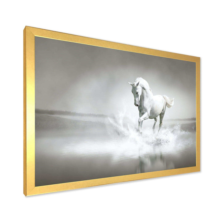 White Horse Running in Water