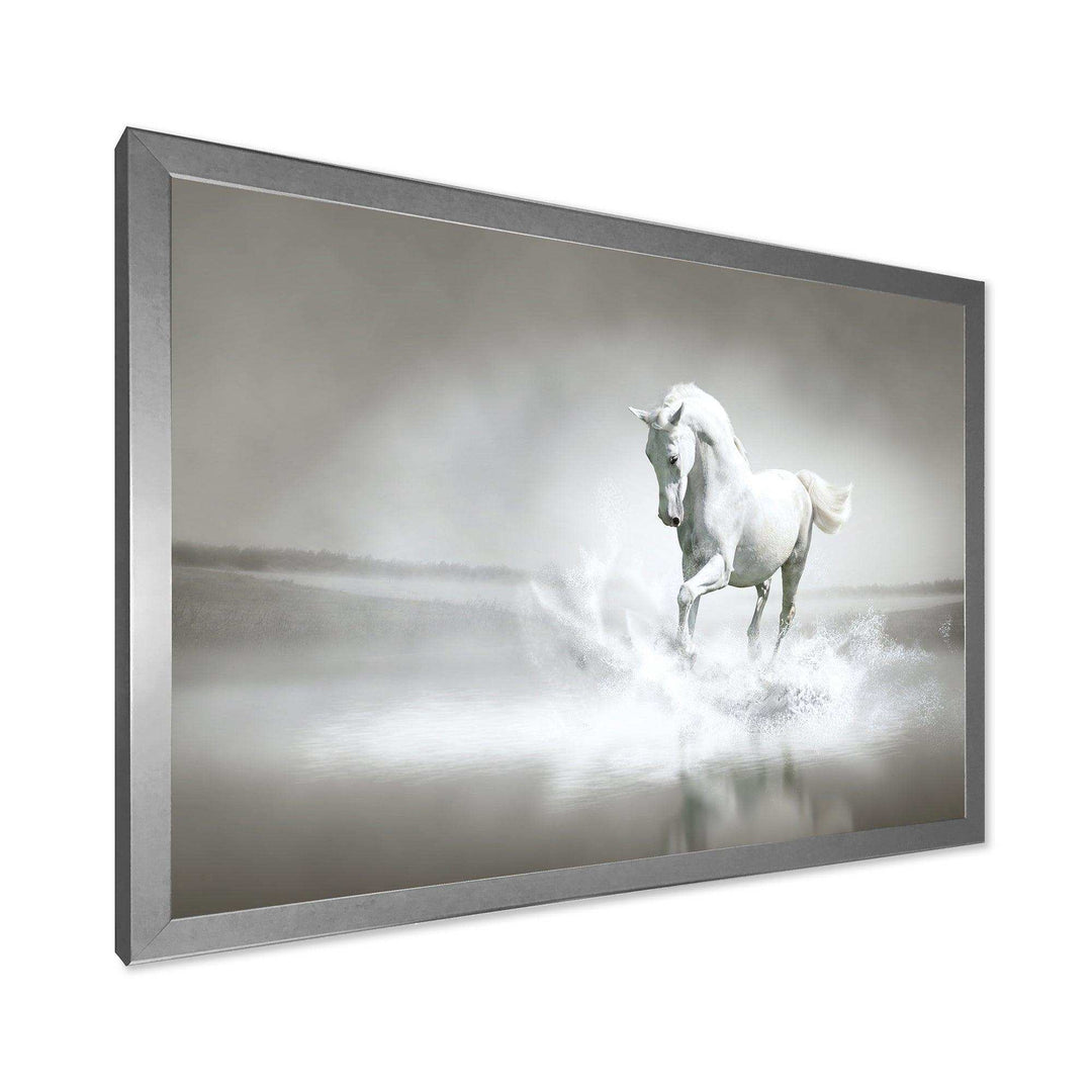 White Horse Running in Water